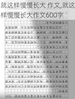 就这样慢慢长大 作文,就这样慢慢长大作文600字-第2张图片-二喜范文网