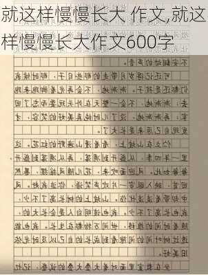 就这样慢慢长大 作文,就这样慢慢长大作文600字-第3张图片-二喜范文网