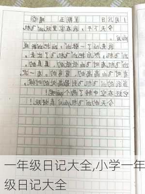 一年级日记大全,小学一年级日记大全-第2张图片-二喜范文网