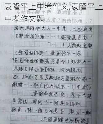 袁隆平上中考作文,袁隆平上中考作文题-第2张图片-二喜范文网