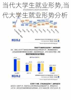 当代大学生就业形势,当代大学生就业形势分析-第2张图片-二喜范文网