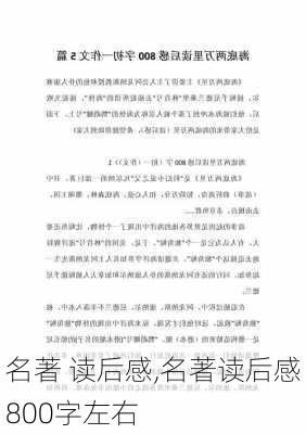 名著 读后感,名著读后感800字左右-第2张图片-二喜范文网