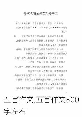 五官作文,五官作文300字左右-第2张图片-二喜范文网